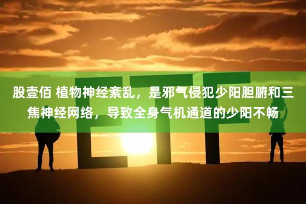 股壹佰 植物神经紊乱,是邪气侵犯少阳胆腑和三焦神经网络,导致全身气机通道的少阳不畅