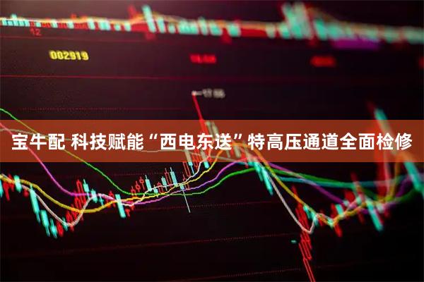 宝牛配 科技赋能“西电东送”特高压通道全面检修